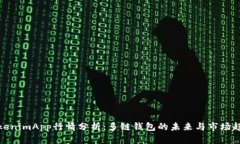 TokenimApp行情分析：多链钱