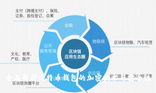 全面解析比特币钱包的加密技术与安全性