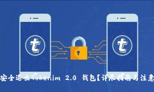 如何安全退出Tokenim 2.0 钱包？详尽指南与注意事项