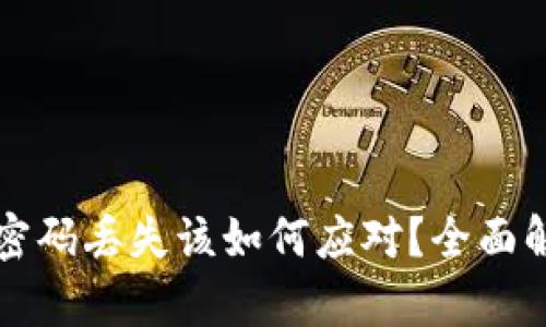 比特币钱包密码丢失该如何应对？全面解决方案解析