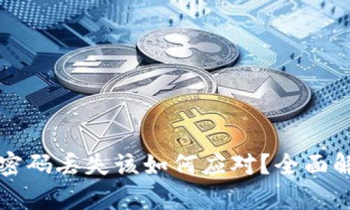 比特币钱包密码丢失该如何应对？全面解决方案解析