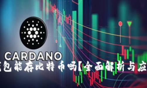 电子钱包能存比特币吗？全面解析与应用指南