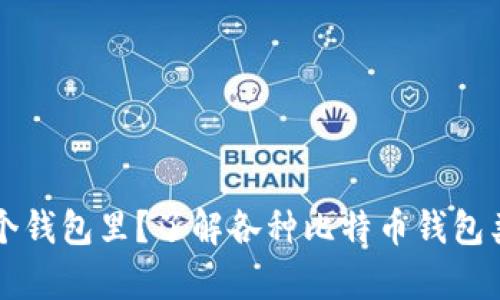 比特币存在哪个钱包里？了解各种比特币钱包类型及其优缺点