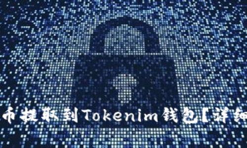 如何将币虎网的币提取到Tokenim钱包？详细步骤和注意事项