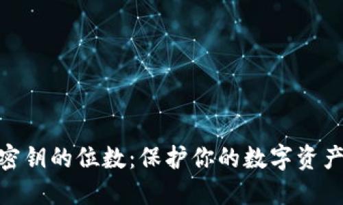 揭秘冷钱包密钥的位数：保护你的数字资产安全的关键