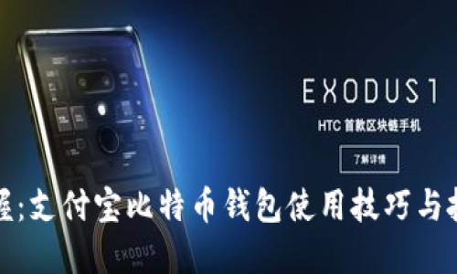 完全掌握：支付宝比特币钱包使用技巧与投资策略