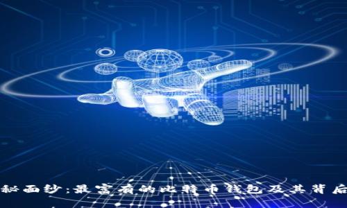 揭开神秘面纱：最富有的比特币钱包及其背后的故事