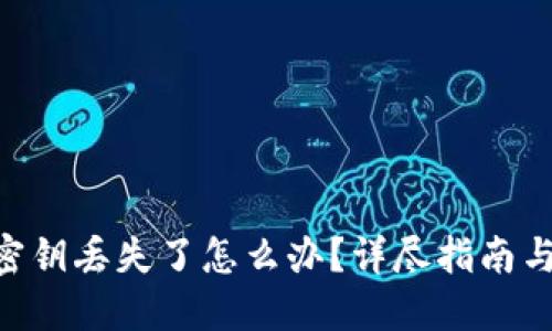 Tokenim密钥丢失了怎么办？详尽指南与应对策略