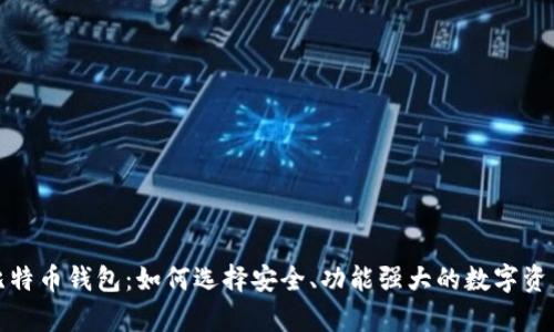 全面解析比特币钱包：如何选择安全、功能强大的数字资产存储工具