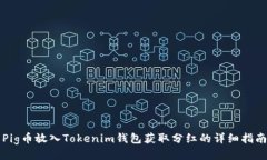 Pig币放入Tokenim钱包获取分
