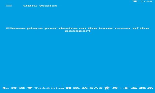 如何设置Tokenim转账的GAS费用：全面指南