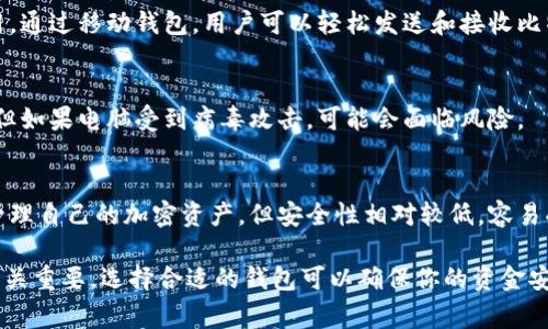 存储比特币的钱包通常被称为“数字钱包”或“加密钱包”。这些钱包用于存储用户的比特币及其他加密货币，它们可以是软件版本，也可以是硬件版本。

以下是几种常见的钱包类型：

1. **热钱包（Hot Wallet）**：
   - 这种钱包在线运行，方便用户随时进行交易。它适用于频繁交易的用户，比如进行日常支付或投资。热钱包的例子包括手机钱包、网页版钱包和电脑钱包。

2. **冷钱包（Cold Wallet）**：
   - 冷钱包用于离线存储比特币，安全性更高，适合长期持有大额比特币的用户。冷钱包可以是硬件设备（如Ledger或Trezor）或纸质钱包。

3. **移动钱包（Mobile Wallet）**：
   - 移动钱包是手机应用，方便用户在日常生活中使用。通过移动钱包，用户可以轻松发送和接收比特币。

4. **桌面钱包（Desktop Wallet）**：
   - 桌面钱包是安装在个人电脑上的软件，安全性高，但如果电脑受到病毒攻击，可能会面临风险。

5. **网页版钱包（Web Wallet）**：
   - 网页钱包通过浏览器访问，便于用户随时查看和管理自己的加密资产，但安全性相对较低，容易受到黑客攻击。

了解比特币钱包的种类和特点对比特币的存储与交易至关重要。选择合适的钱包可以确保你的资金安全，同时也能满足你的使用需求。