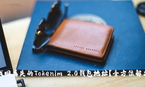 如何找回丢失的Tokenim 2.0钱包地址？全方位解决方案