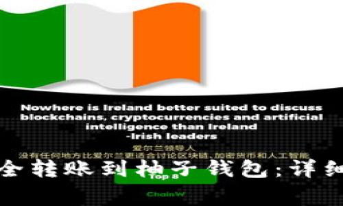 如何将比特币安全转账到柚子钱包：详细指南与注意事项