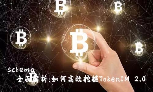 schema
  全面解析：如何高效挖掘TokenIM 2.0