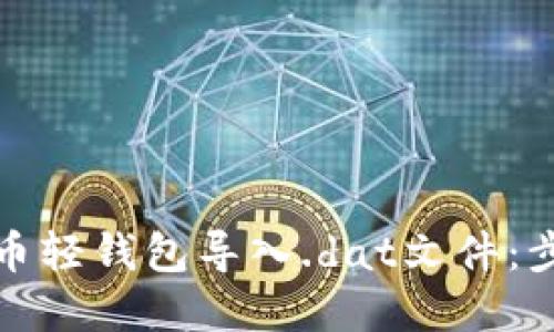 如何使用比特币轻钱包导入.dat文件：步骤与技巧详解