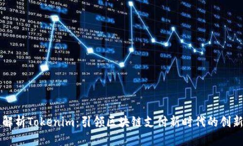 全面解析Tokenim：引领区块链支付新时代的创新平台
