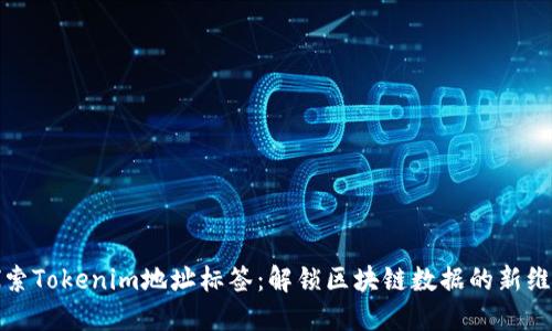 探索Tokenim地址标签：解锁区块链数据的新维度