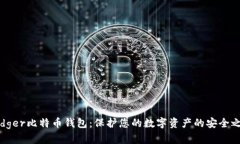 Ledger比特币钱包：保护您