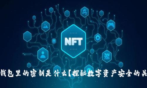冷钱包里的密钥是什么？探秘数字资产安全的关键