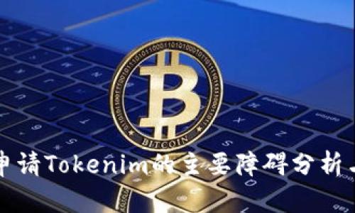 国内用户申请Tokenim的主要障碍分析与解决方案