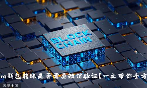 Tokenim钱包转账是否需要短信验证？一文带你全方位解析