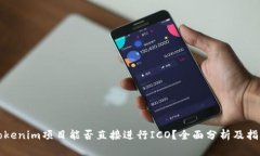 Tokenim项目能否直接进行