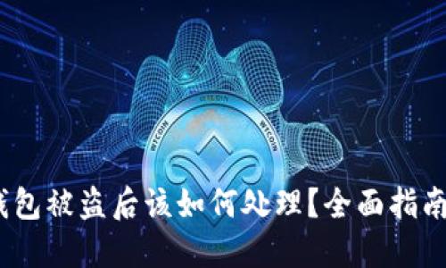 IM Token钱包被盗后该如何处理？全面指南与安全建议