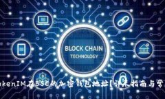 如何找到TokenIM在BSC的加密