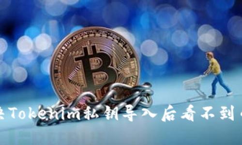 如何解决Tokenim私钥导入后看不到币的问题