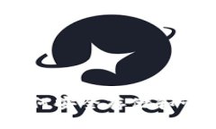 狗狗币钱包上线：如何安