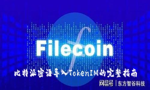 比特派密语导入TokenIM的完整指南