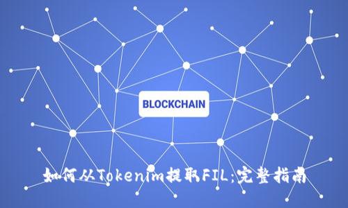 如何从Tokenim提取FIL：完整指南