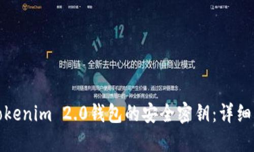 如何设置Tokenim 2.0钱包的安全密钥：详细步骤与技巧