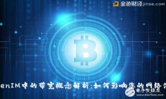 TokenIM中的带宽概念解析：