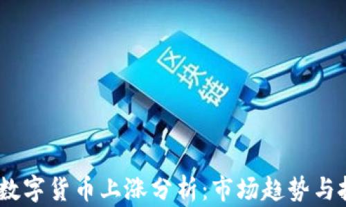 
2023年数字货币上涨分析：市场趋势与投资机会