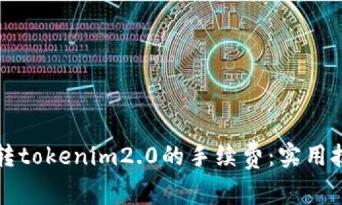 如何降低火币转tokenim2.0的手续费：实用技巧与经验分享