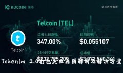 Tokenim 2.0打包失败原因解析