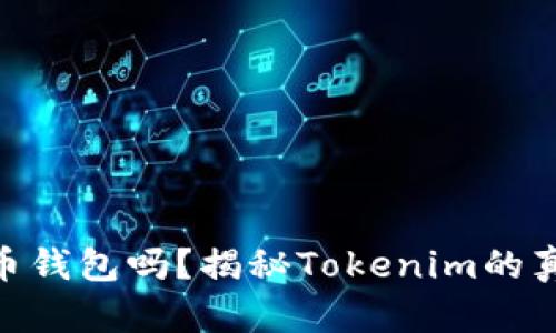 Tokenim是火币钱包吗？揭秘Tokenim的真实身份与功能