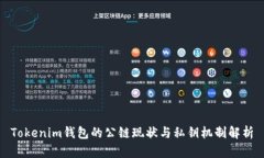 Tokenim钱包的公链现状与私