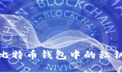  深入探讨：比特币钱包中的私钥数量与管理