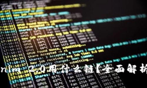 火币转Tokenim 2.0用什么链？全面解析与使用指南