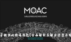 苹果是否提供比特币钱包