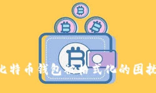 如何应对比特币钱包被格式化的困扰：全面指南