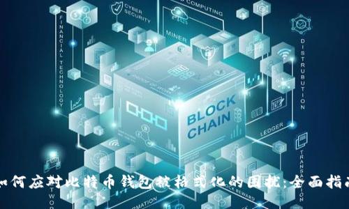 如何应对比特币钱包被格式化的困扰：全面指南