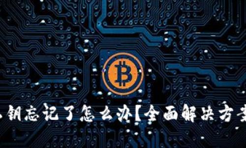 : TRX钱包私钥忘记了怎么办？全面解决方案与预防措施