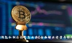 : TRX钱包私钥忘记了怎么办？全面解决方案与预防