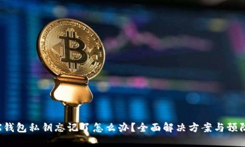: TRX钱包私钥忘记了怎么办？全面解决方案与预防措施