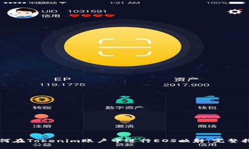 如何在Tokenim账户中进行EOS映射：完整指南