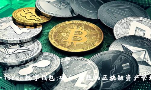 银启令Token数字钱包：安全、高效的区块链资产管理工具